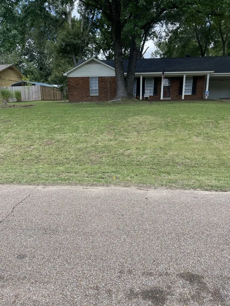 Top-rated residential landscaping experts serving Bartlett, TN - Brother And Brother Landscaping