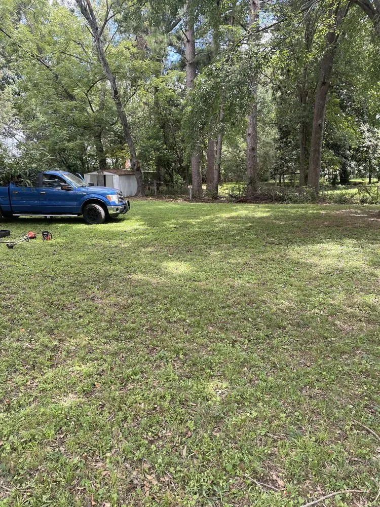 Custom yard cleanup service for year-round maintenance across Bartlett, TN - Brother And Brother Landscaping