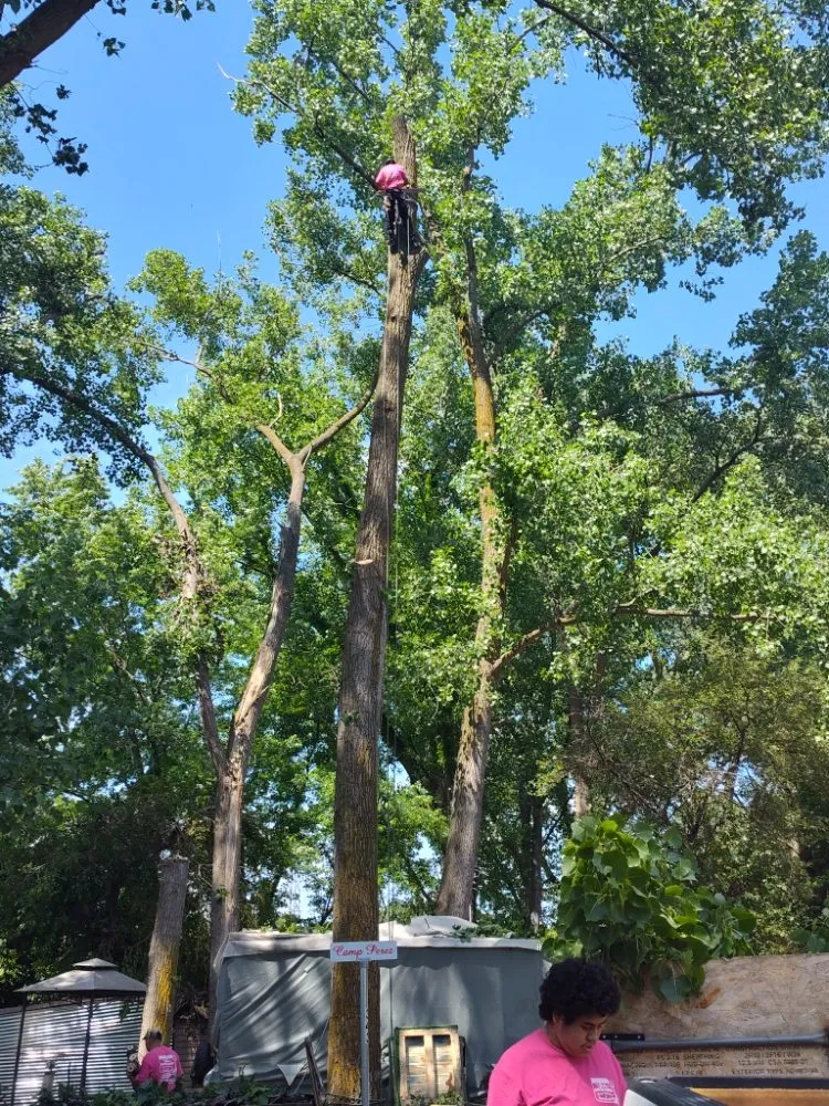 Reliable lawn mowing service experts serving Chicago, IL - Brother And Sisters Garcia Torres Tree service & Landscaping