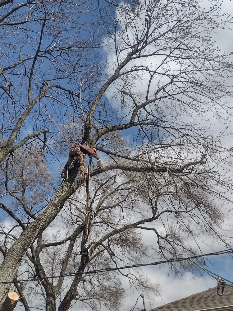 Custom outdoor landscaping in Chicago, IL by Brother And Sisters Garcia Torres Tree service & Landscaping