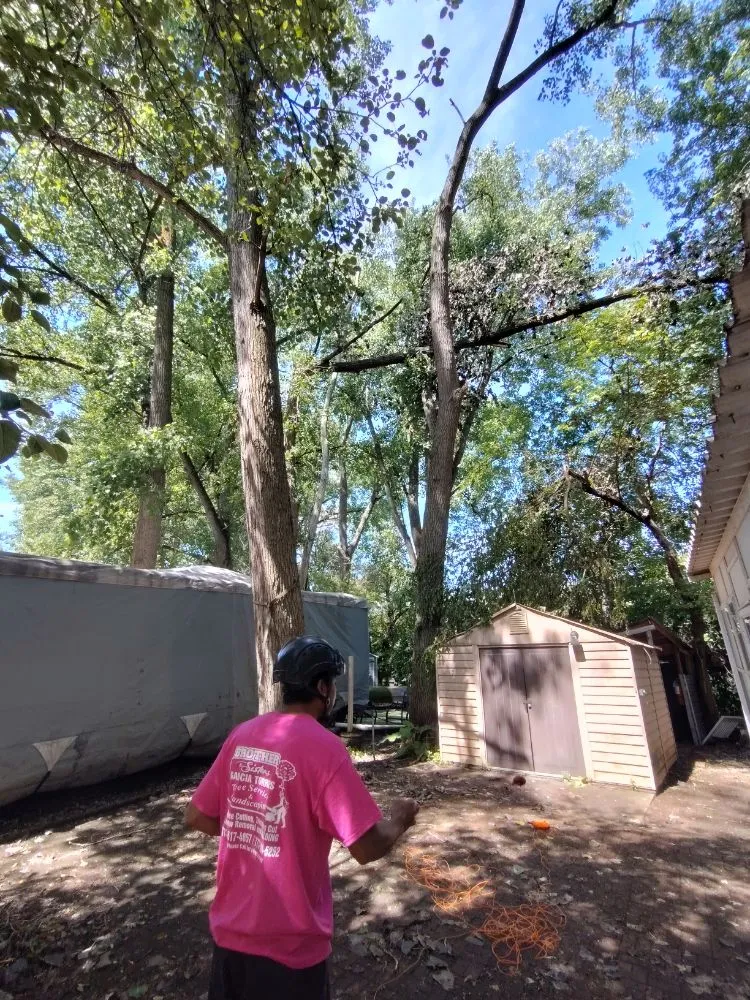 Affordable lawn mowing service in Chicago, IL - Brother And Sisters Garcia Torres Tree service & Landscaping