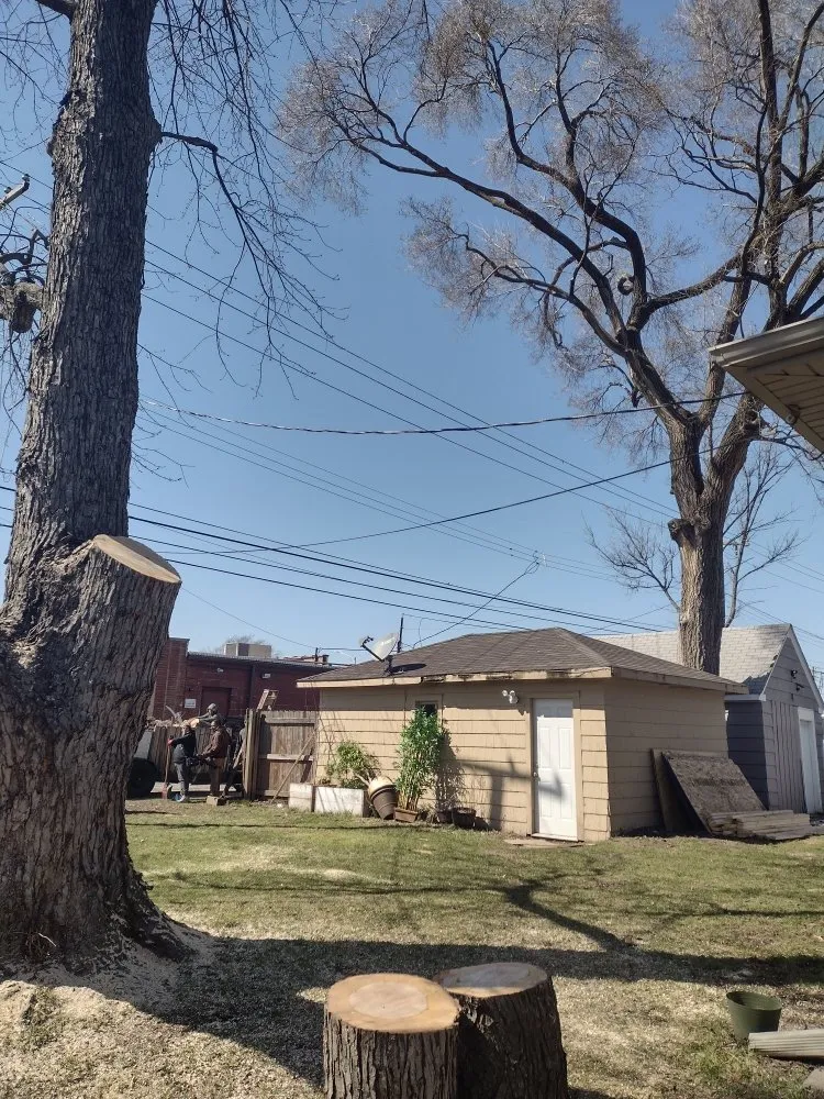 Local outdoor landscaping with custom design in Chicago, IL by Brother And Sisters Garcia Torres Tree service & Landscaping