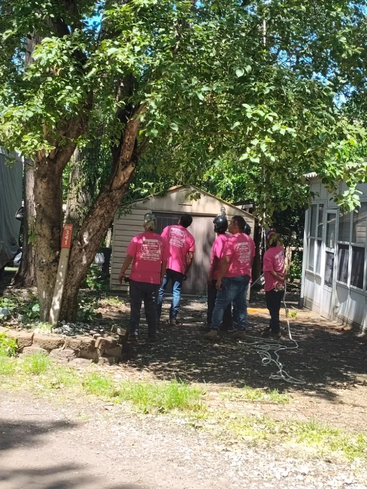 Reliable lawn mowing service for residential properties across Chicago, IL - Brother And Sisters Garcia Torres Tree service & Landscaping