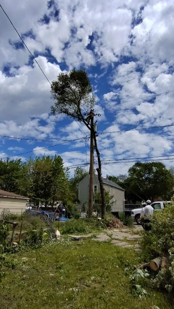 Expert residential landscaping with custom design across Chicago, IL - Brother And Sisters Garcia Torres Tree service & Landscaping