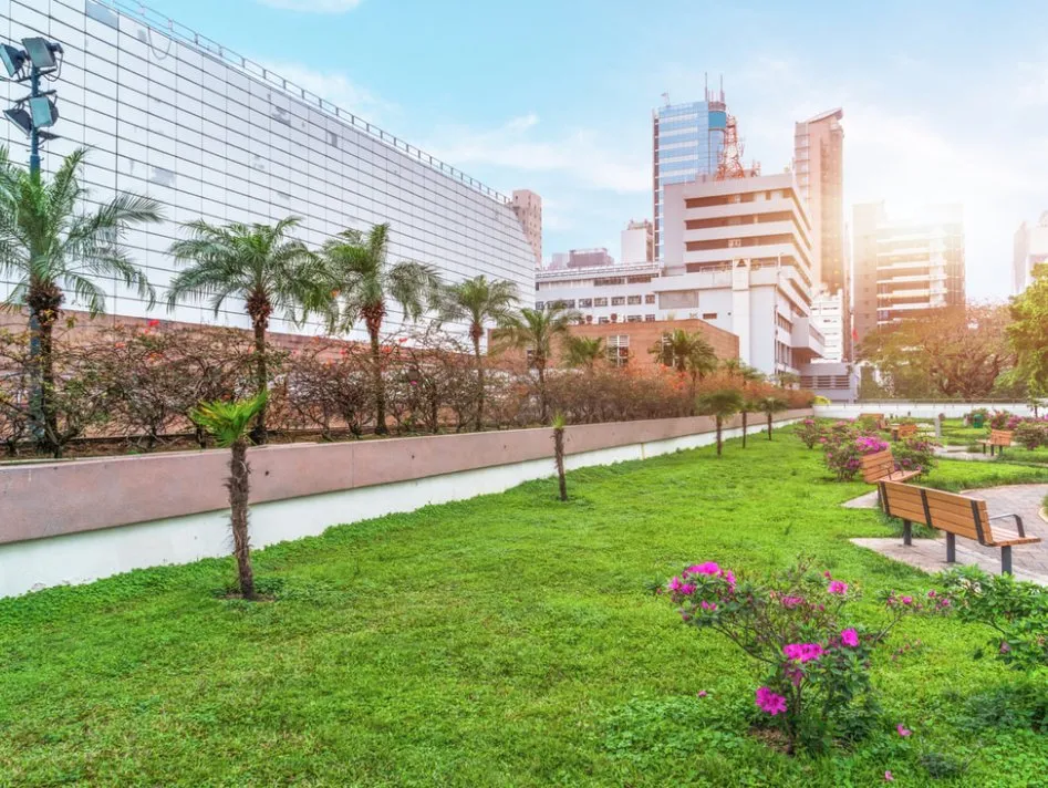 Local outdoor landscaping experts serving Portland, OR - Brother Bear Tree Care