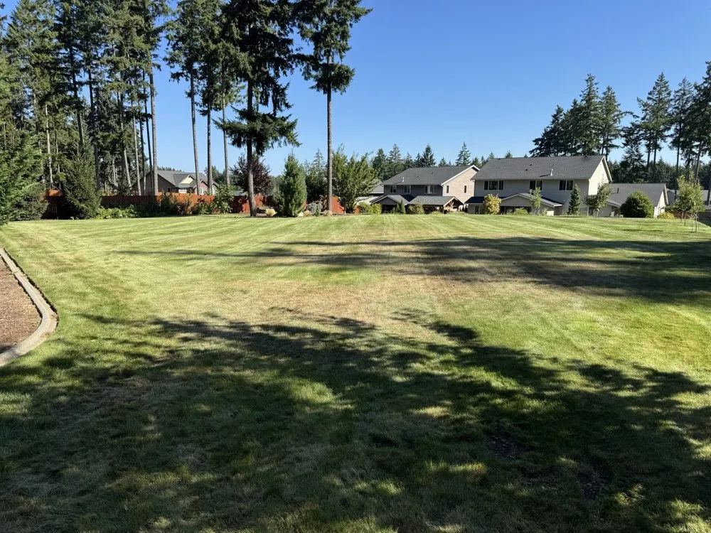 Top-rated lawn care service in Centralia, WA - Brother Bears Landscaping