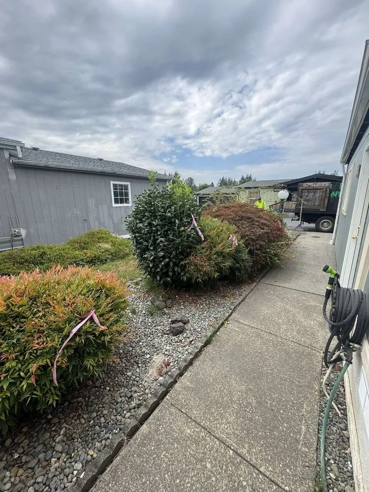 Professional residential landscaping near you in Centralia, WA by Brother Bears Landscaping