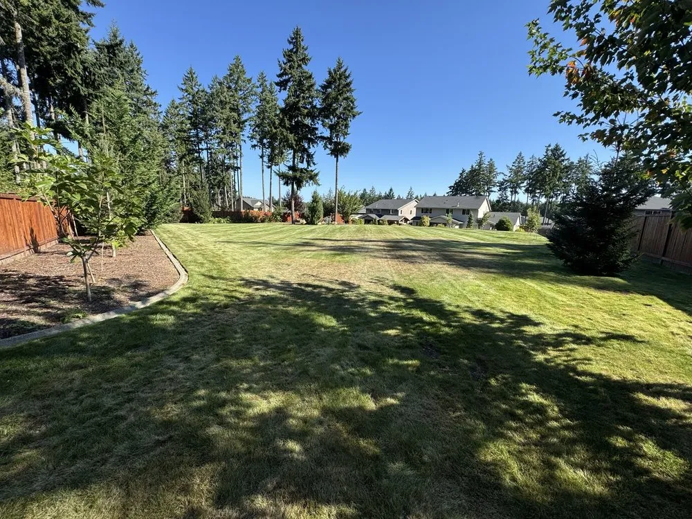 Custom yard maintenance for year-round maintenance across Centralia, WA - Brother Bears Landscaping