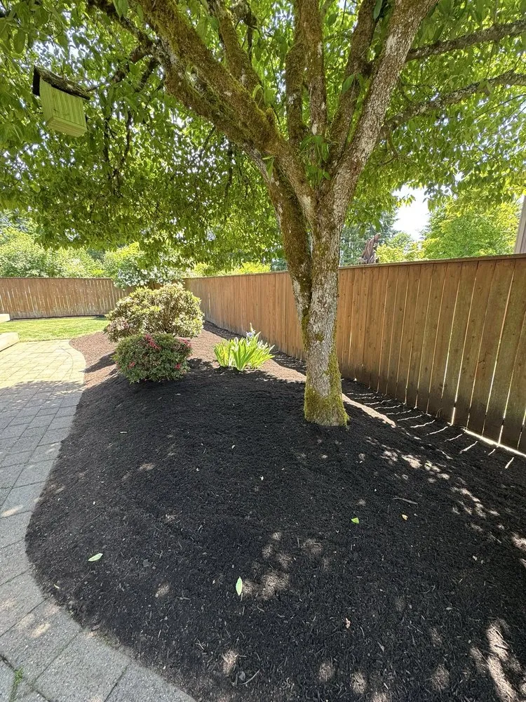 Trusted lawn care service experts serving Centralia, WA - Brother Bears Landscaping