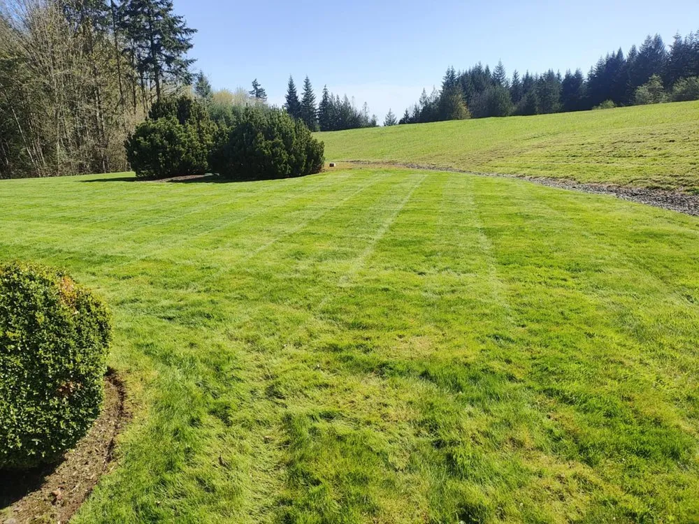 Expert residential landscaping for beautiful yards in Centralia, WA by Brother Bears Lawn care
