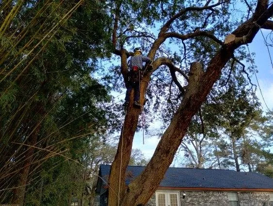 Custom landscape installation experts serving Hinesville, GA - Brother Cuts Lawn Care & Tree Service