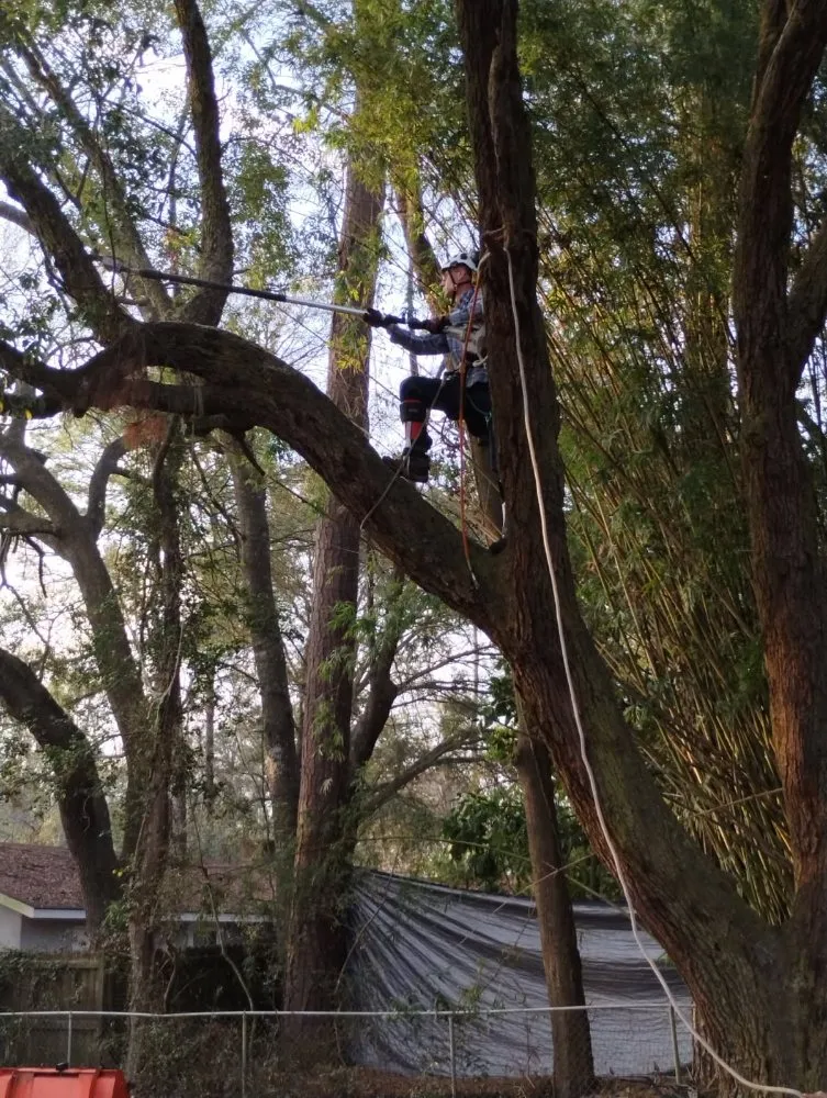 Expert landscaping services experts serving Hinesville, GA - Brother Cuts Lawn Care & Tree Service