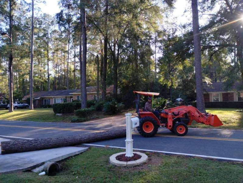 Top-rated outdoor landscaping experts serving Hinesville, GA - Brother Cuts Lawn Care & Tree Service