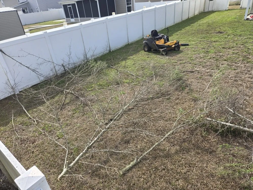 Expert landscape installation for outdoor upgrades in Hinesville, GA by Brother Cuts Lawn Care & Tree Service