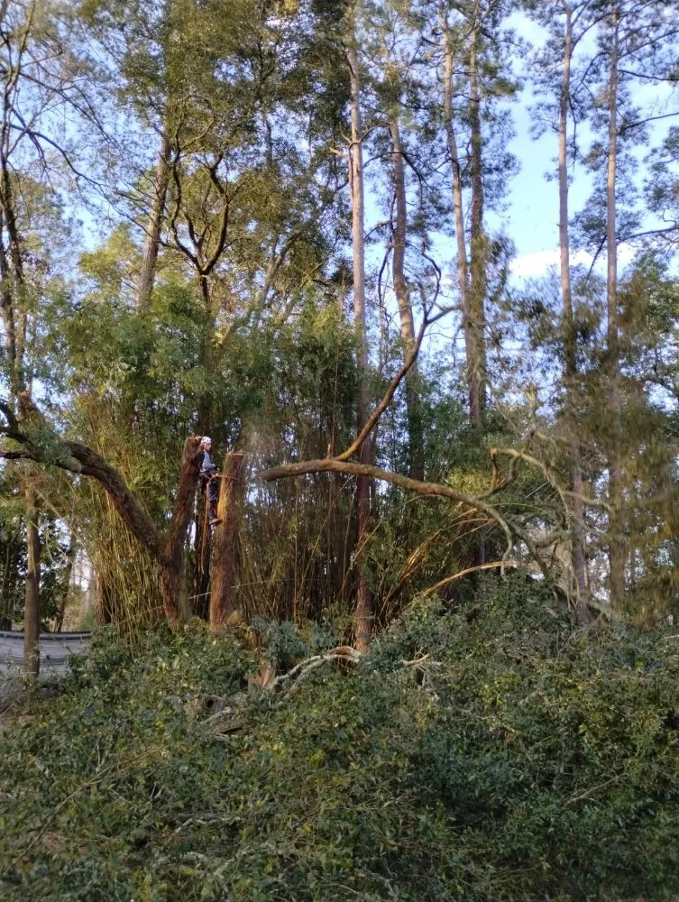 Top-rated landscape installation in Hinesville, GA by Brother Cuts Lawn Care & Tree Service