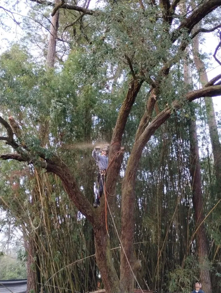 Local lawn care service in Hinesville, GA by Brother Cuts Lawn Care & Tree Service