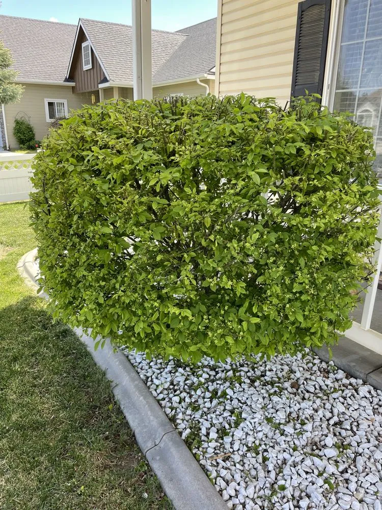 Expert landscape design for outdoor upgrades across Eagle, ID - Brother DS lawncare