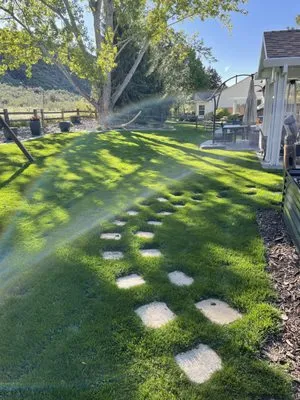 Brother DS lawncare Logo