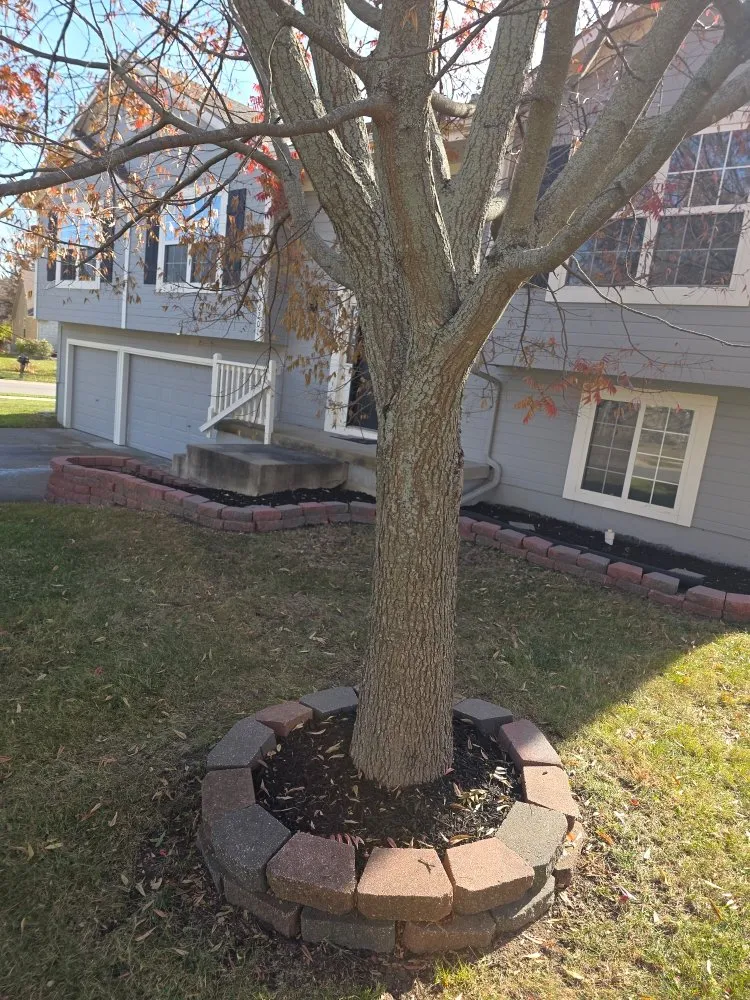 Professional landscape design experts serving Kansas City, MO - Brother in Christ Lawn Care and more