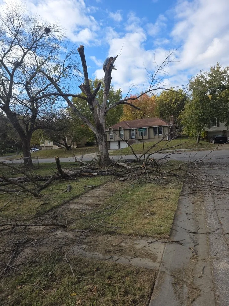 Local garden landscaping experts serving Kansas City, MO - Brother in Christ Lawn Care and more