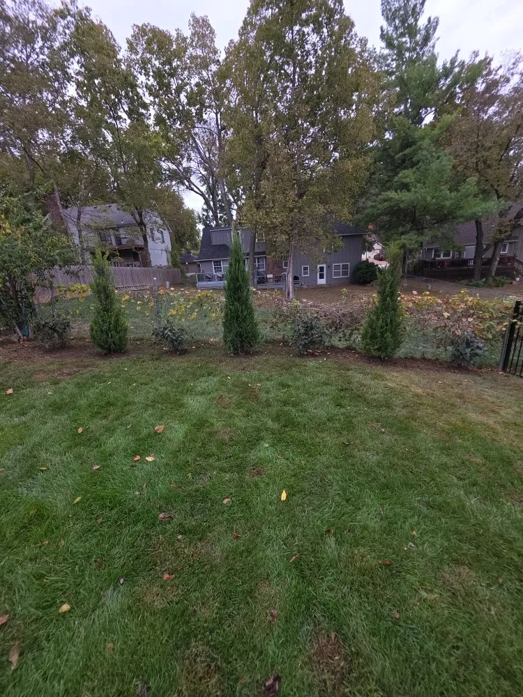 Trusted landscape design experts serving Kansas City, MO - Brother in Christ Lawn Care and more