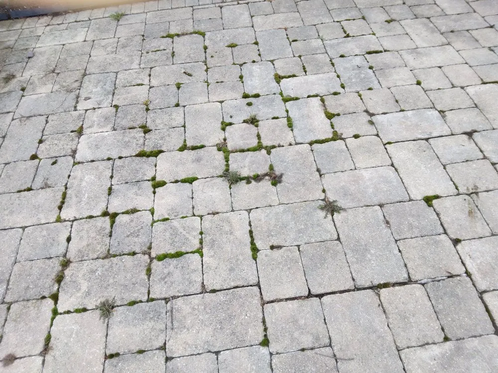 Custom lawn mowing service experts serving Joliet, IL - Brother In Law Landscape