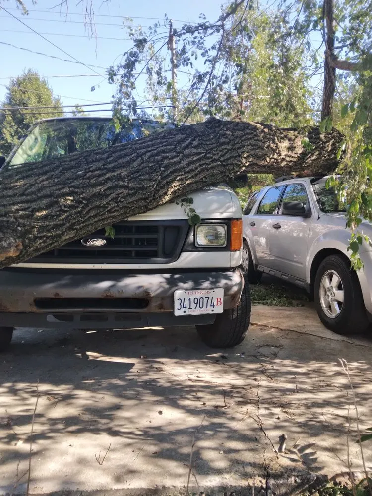 Custom outdoor landscaping experts serving Joliet, IL - Brother In Law Landscape