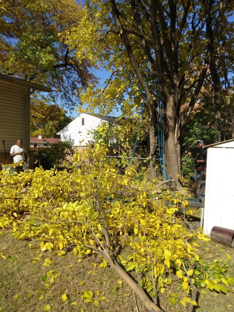 Trusted landscape design in Joliet, IL - Brother In Law Landscape