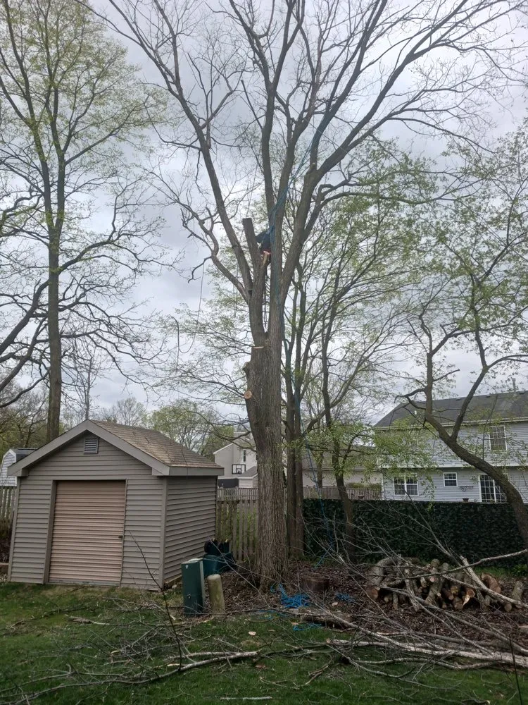 Professional garden landscaping experts serving Joliet, IL - Brother In Law Landscape