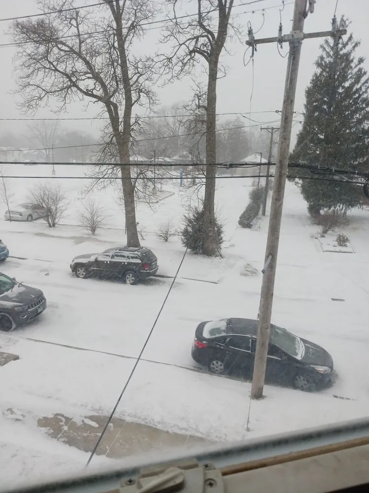 Trusted yard maintenance in Joliet, IL - Brother In Law Landscape