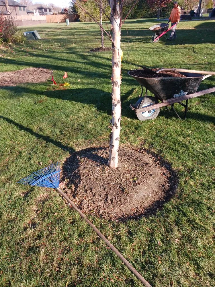 Custom landscaping services experts serving Joliet, IL - Brother In Law Landscape