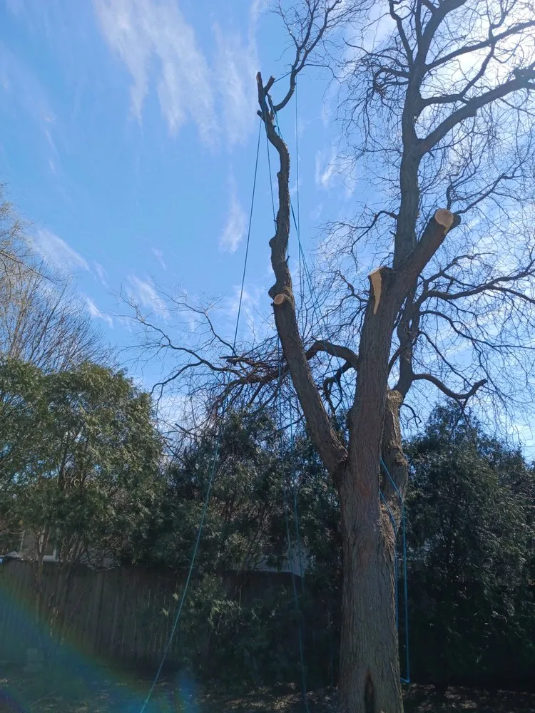 Expert lawn mowing service experts serving Joliet, IL - Brother In Law Landscape