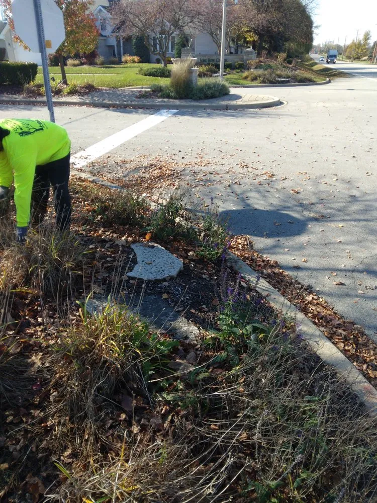 Reliable landscape installation experts serving Joliet, IL - Brother In Law Landscape