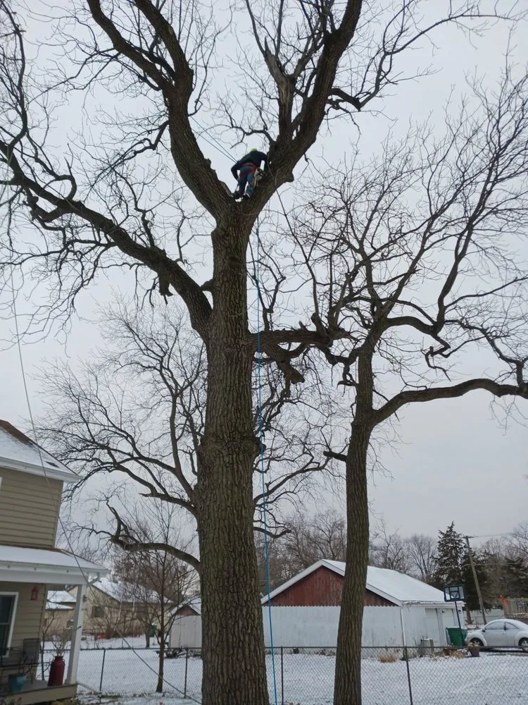 Reliable lawn mowing service with custom design in Joliet, IL by Brother In Law Landscape