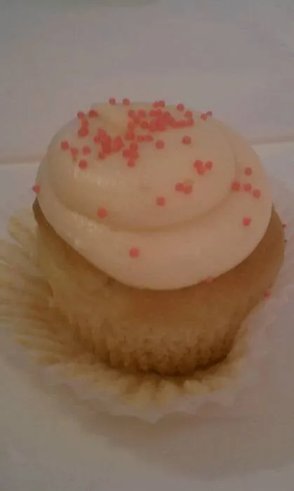 Professional residential landscaping for year-round maintenance across Joliet, IL - Brother In Law Landscape