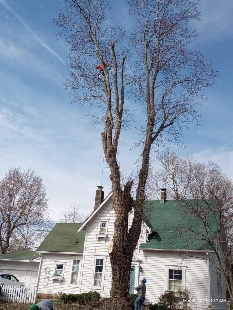 Reliable garden landscaping in Indianapolis, IN - Brother in Law Tree Service