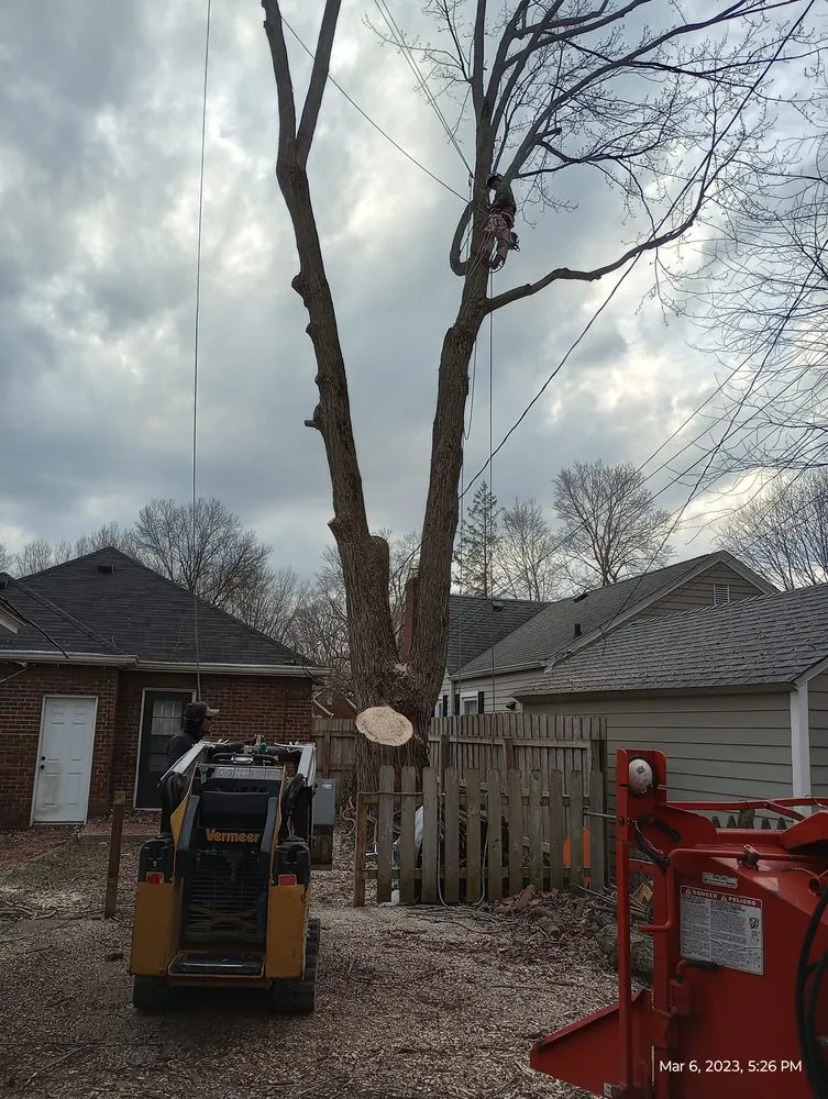 Local lawn care service in Indianapolis, IN by Brother in Law Tree Service