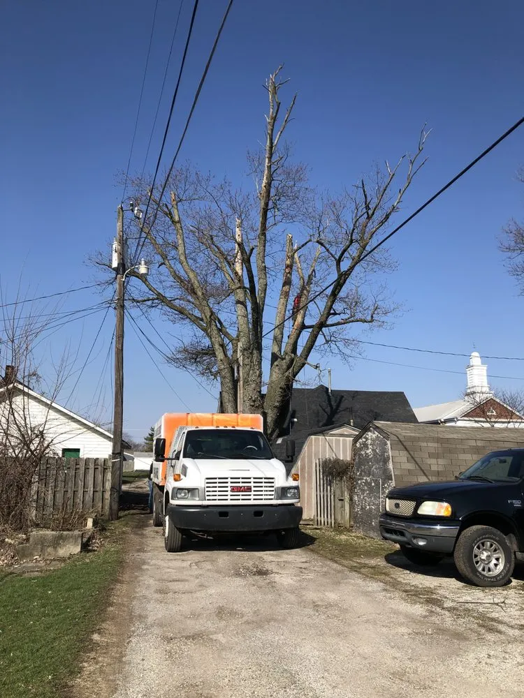 Custom landscape design for residential properties across Indianapolis, IN - Brother in Law Tree Service