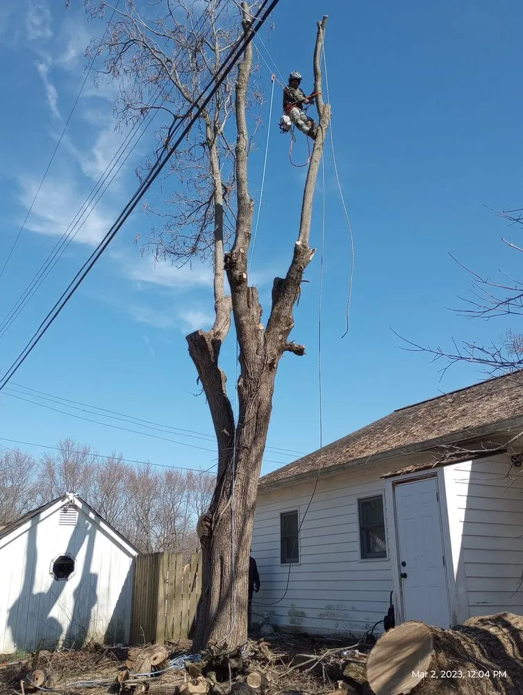 Local landscaping services experts serving Indianapolis, IN - Brother in Law Tree Service