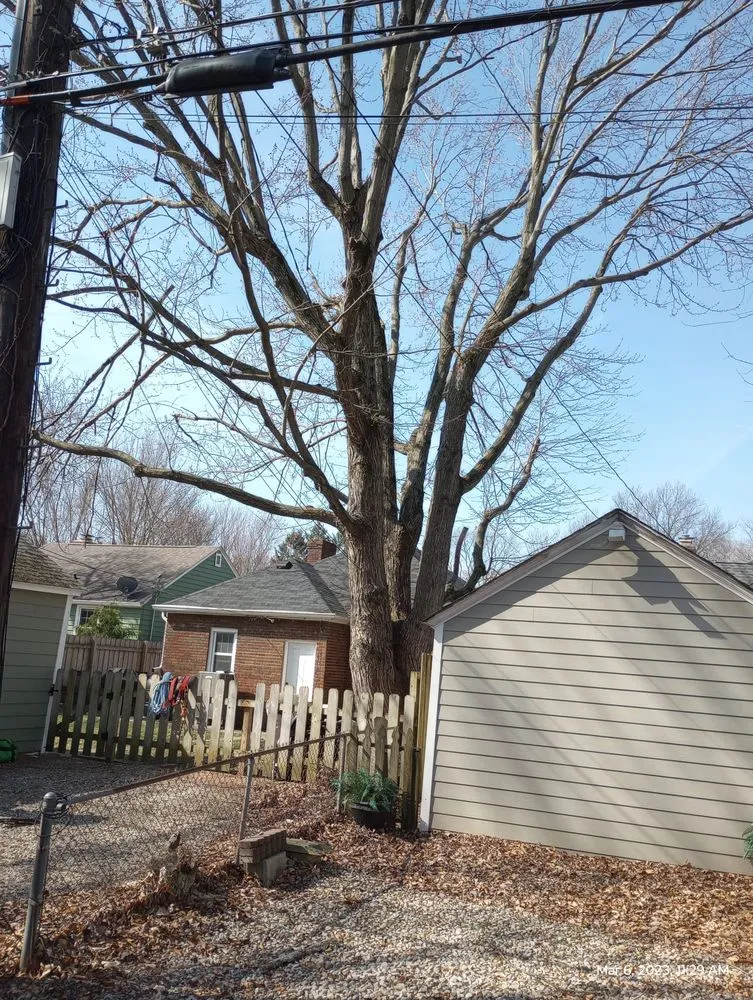 Custom lawn care service in Indianapolis, IN - Brother in Law Tree Service