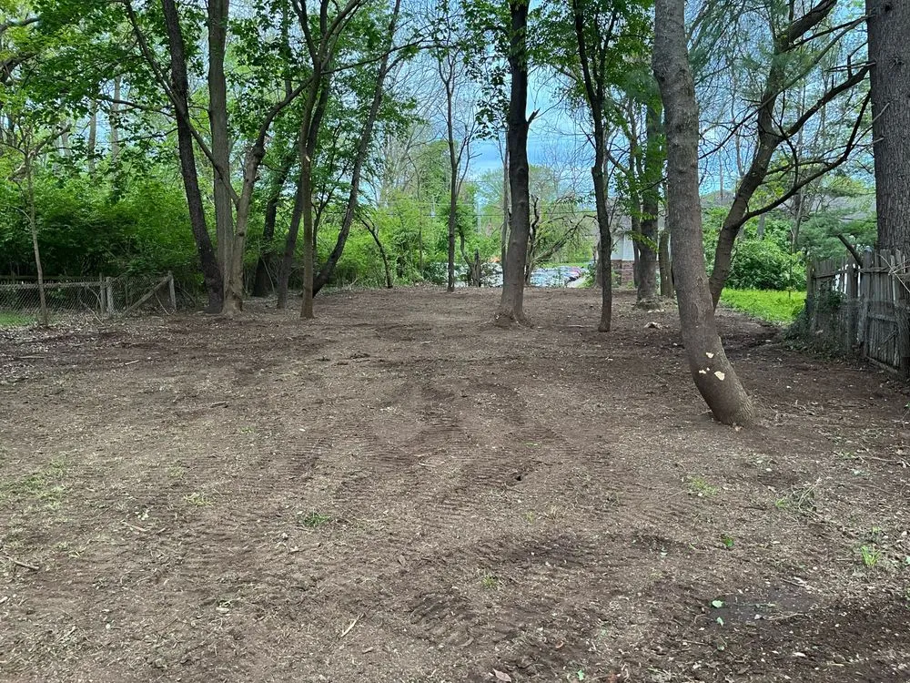 Trusted landscaping services in Indianapolis, IN by Brother in Law Tree Service