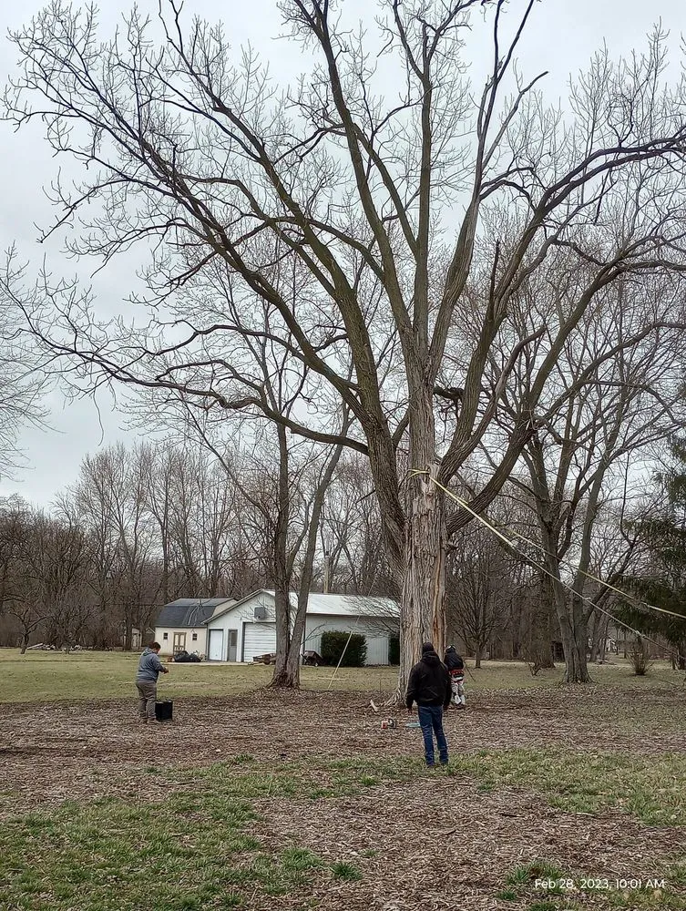 Reliable landscaping services for year-round maintenance across Indianapolis, IN - Brother in Law Tree Service