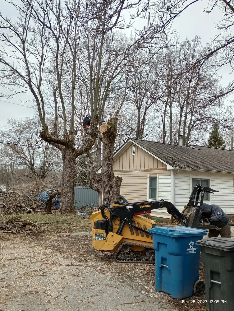 Top-rated lawn mowing service in Indianapolis, IN by Brother in Law Tree Service