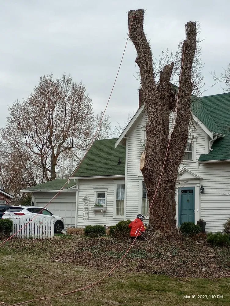 Professional yard cleanup service for homes in Indianapolis, IN by Brother in Law Tree Service
