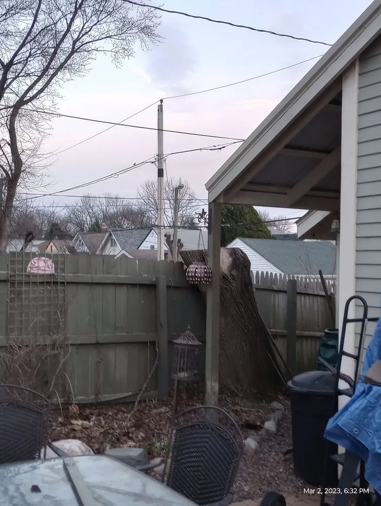 Custom landscaping services in Indianapolis, IN by Brother in Law Tree Service