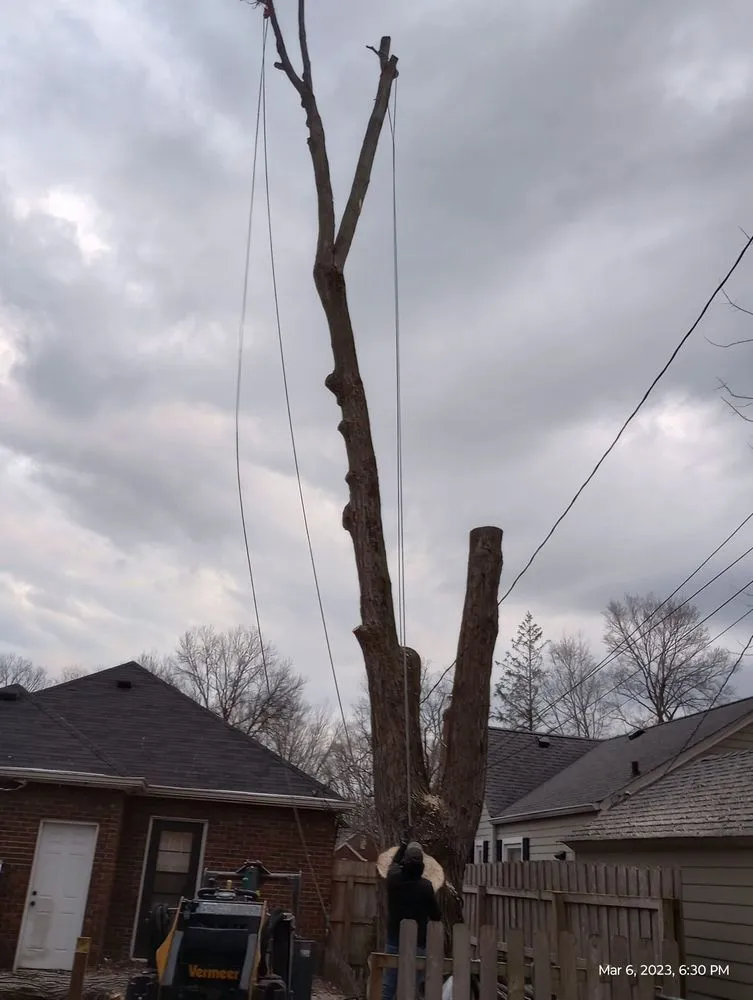 Expert outdoor landscaping in Indianapolis, IN by Brother in Law Tree Service