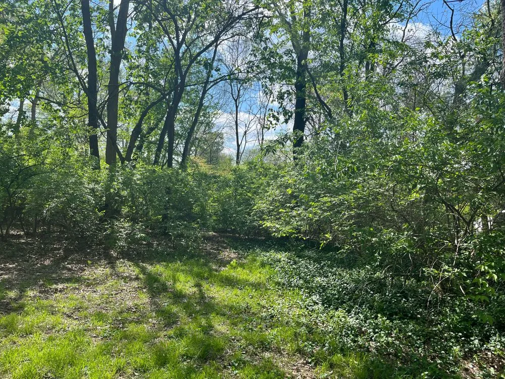 Custom lawn care service experts serving Indianapolis, IN - Brother in Law Tree Service