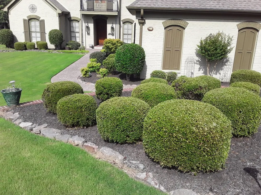 Professional lawn mowing service for homes across Memphis, TN - Brother Landscaping and Tree Services