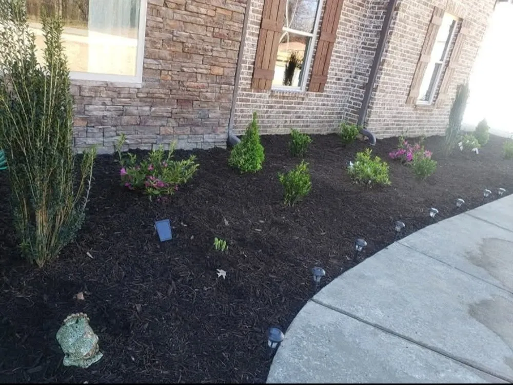 Top-rated landscaping services near you across Memphis, TN - Brother Landscaping and Tree Services