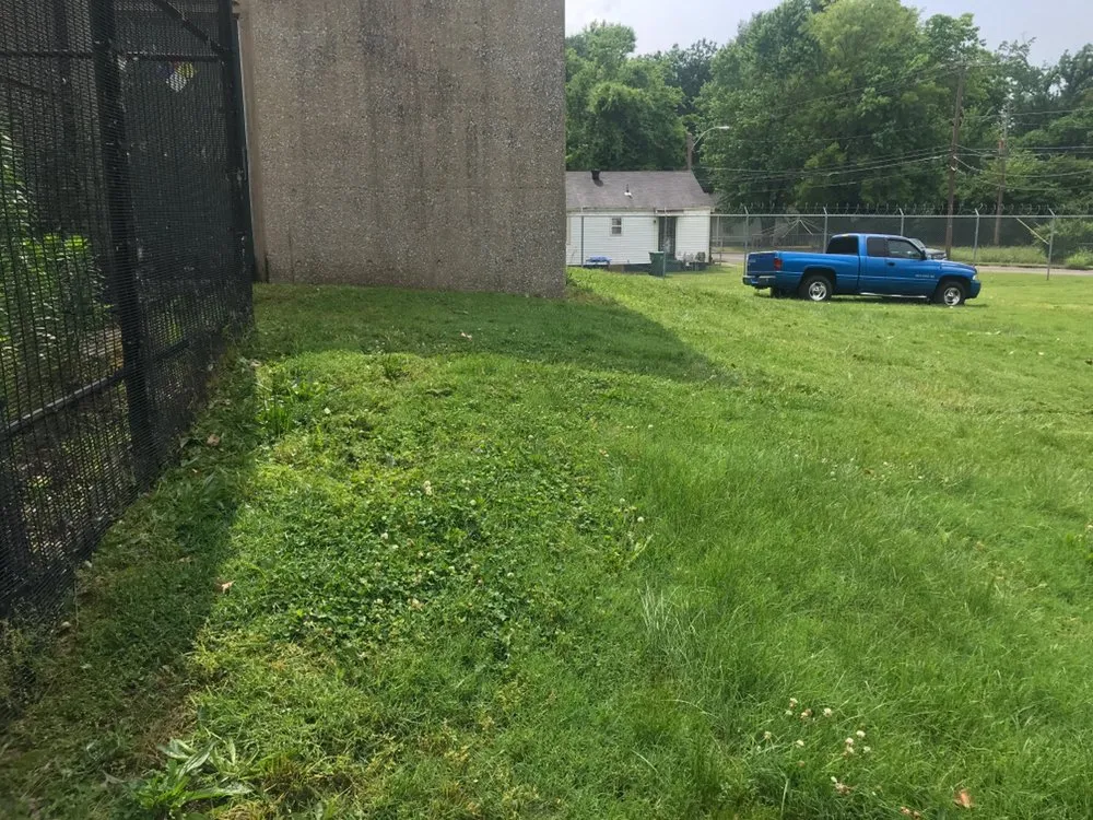 Professional yard cleanup service for outdoor upgrades across Memphis, TN - Brother Lawn Care & Landscaping